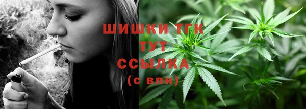 бошки Снежногорск
