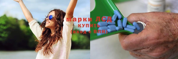гидра Вяземский