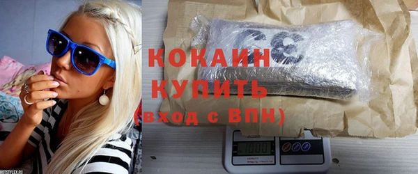 гидра Вяземский