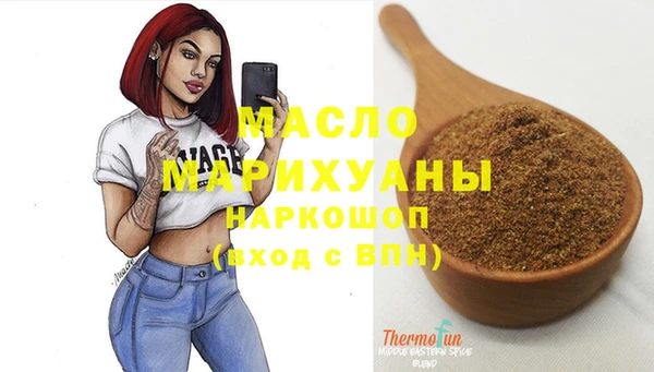 гидра Вяземский