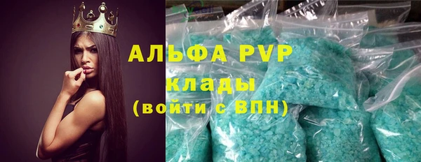 гидра Вяземский