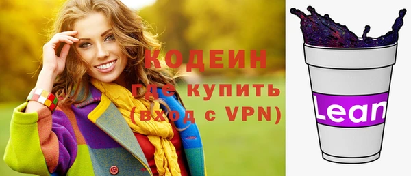 гидра Вяземский