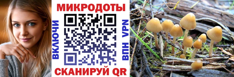 Галлюциногенные грибы мицелий  ссылка на мегу как войти  Верхоянск 